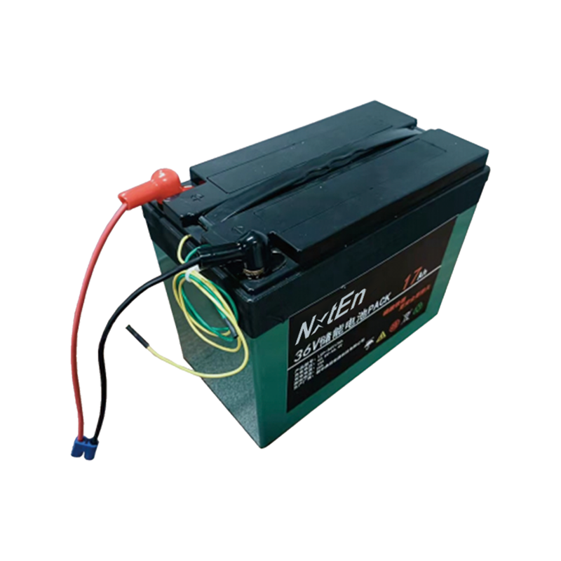 Emergency Systems Battery
